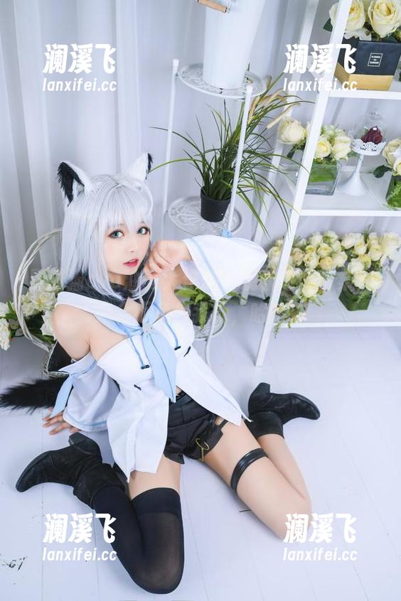 黑猫猫ovo 黑猫猫ovo油亮大作战!观看这份合集,完全不负你我他,哈哈!